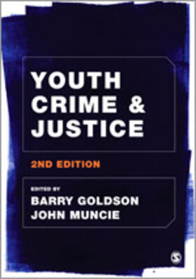 Youth Crime and Justice