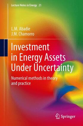 Investment in Energy Assets Under Uncertainty