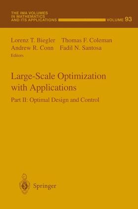 Large-Scale Optimization with Applications