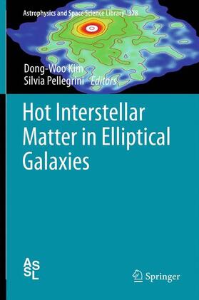 Hot Interstellar Matter in Elliptical Galaxies