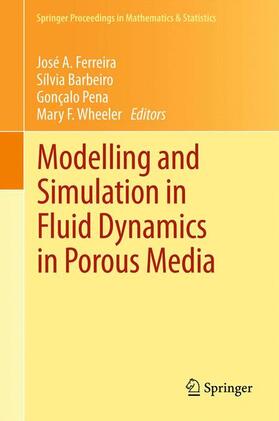 Modelling and Simulation in Fluid Dynamics in Porous Media