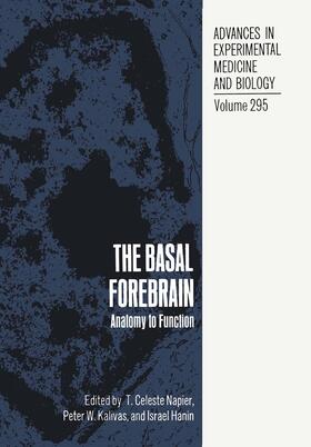 The Basal Forebrain