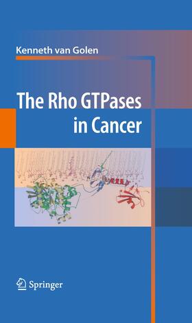 The Rho GTPases in Cancer