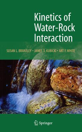 Kinetics of Water-Rock Interaction