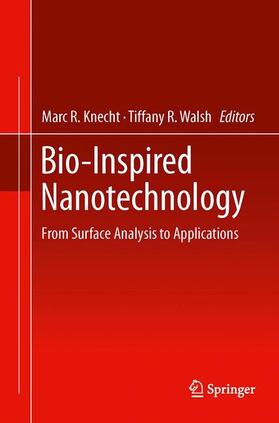 Bio-Inspired Nanotechnology