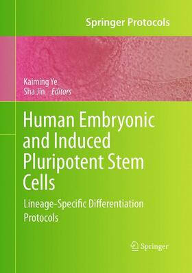 Human Embryonic and Induced Pluripotent Stem Cells