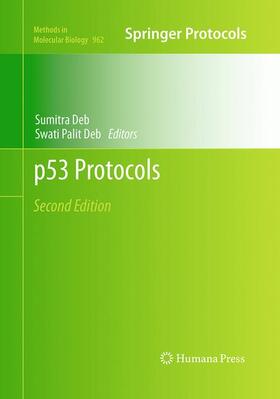 p53 Protocols