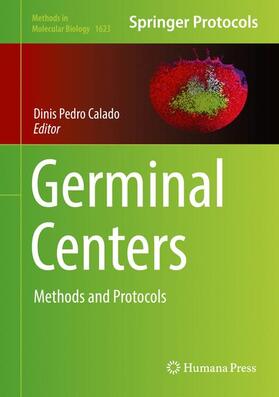 Germinal Centers