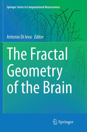 The Fractal Geometry of the Brain