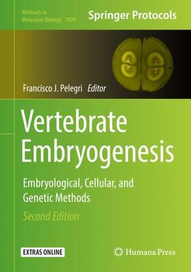 Vertebrate Embryogenesis