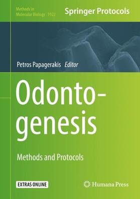 Odontogenesis