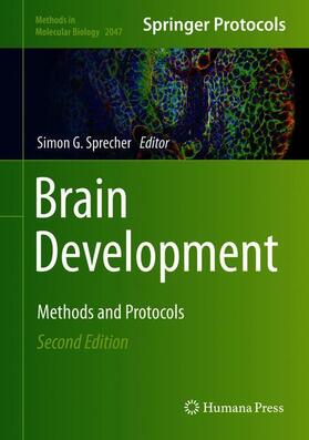 Brain Development