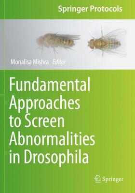 Fundamental Approaches to Screen Abnormalities in Drosophila