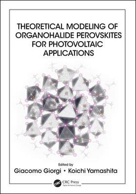 Theoretical Modeling of Organohalide Perovskites for Photovoltaic Applications