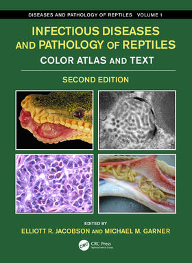 Infectious Diseases and Pathology of Reptiles