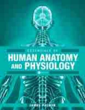 Essentials of Human Anatomy and Physiology