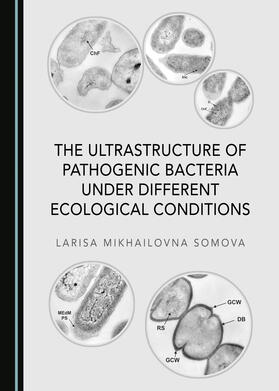 The Ultrastructure of Pathogenic Bacteria under Different Ecological Conditions