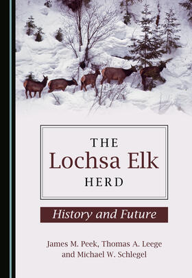 The Lochsa Elk Herd