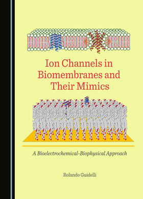 Ion Channels in Biomembranes and Their Mimics