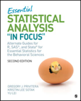 Essential Statistical Analysis in Focus