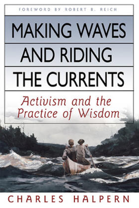 Making Waves and Riding the Currents: Activism and the Practice of Wisdom