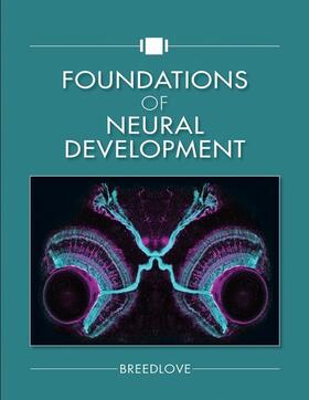 Foundations of Neural Development