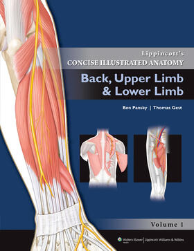 Back, Upper Limb and Lower Limb