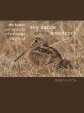 Sky Dance of the Woodcock: The Habits and Habitats of a Strange Little Bird