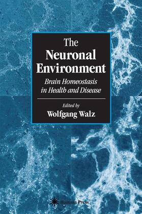 The Neuronal Environment