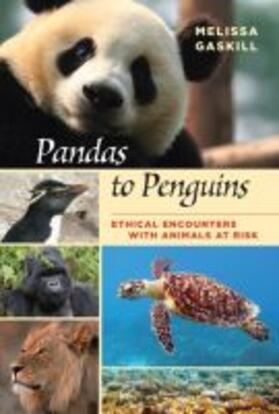 Pandas to Penguins, Volume 59