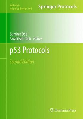 p53 Protocols