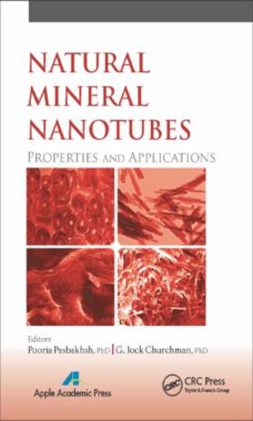 Natural Mineral Nanotubes