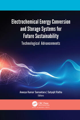 Electrochemical Energy Conversion and Storage Systems for Fu
