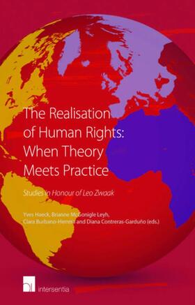 The Realisation of Human Rights: When Theory Meets Practice