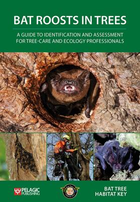 Bat Roosts Trees: Guide Identification