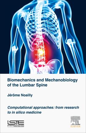 Biomechanics and Mechanobiology of the Lumbar Spine
