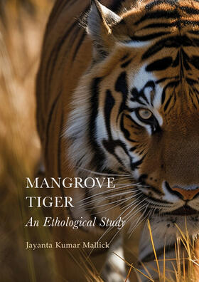 Mangrove Tiger