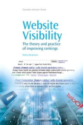 Weideman, M: WEBSITE VISIBILITY