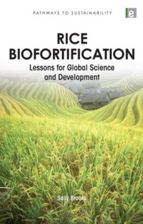 Rice Biofortification