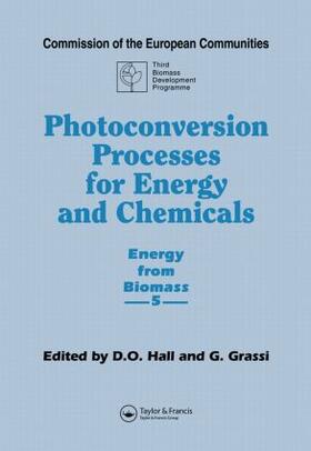 Photoconversion Processes for Energy and Chemicals