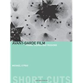 Avant-Garde Film - Forms, Themes and Passions