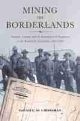 Mining the Borderlands: Industry, Capital, and the Emergence of Engineers in the Southwest Territories, 1855-1910