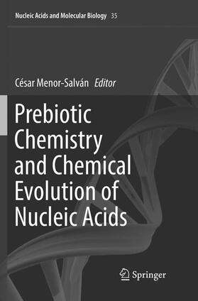 Prebiotic Chemistry and Chemical Evolution of Nucleic Acids