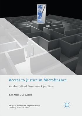 Access to Justice in Microfinance