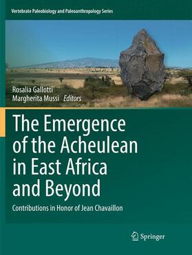 The Emergence of the Acheulean in East Africa and Beyond