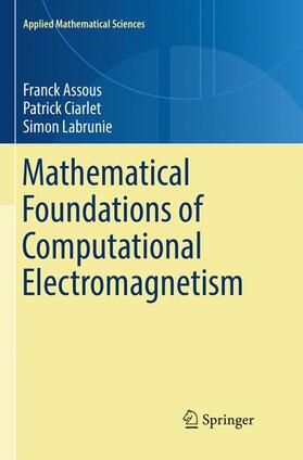 Mathematical Foundations of Computational Electromagnetism