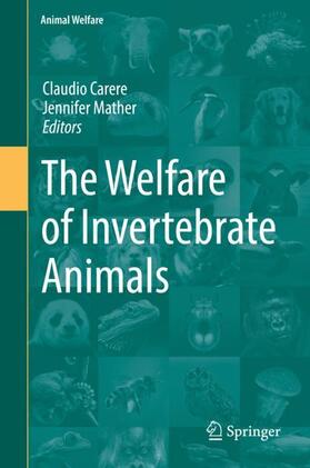 The Welfare of Invertebrate Animals