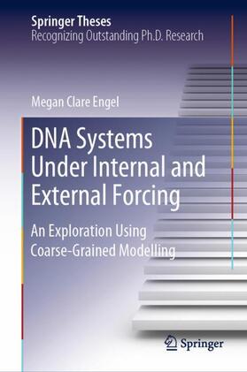 DNA Systems Under Internal and External Forcing