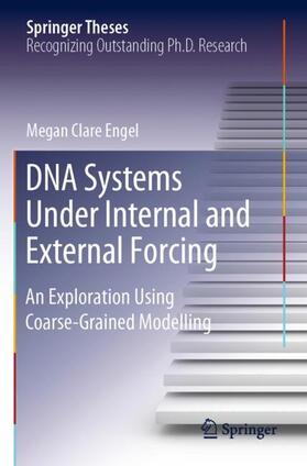 DNA Systems Under Internal and External Forcing