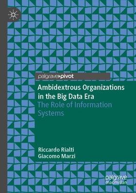 Ambidextrous Organizations in the Big Data Era